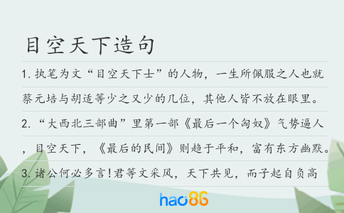 目空天下造句