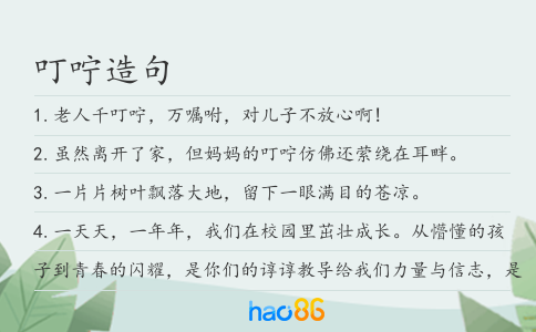 叮咛造句