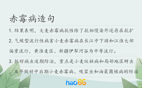 赤霉病造句