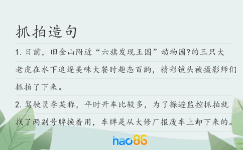 抓拍造句