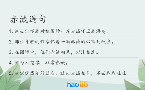 赤诚造句