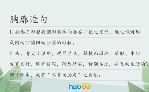 胸廓造句