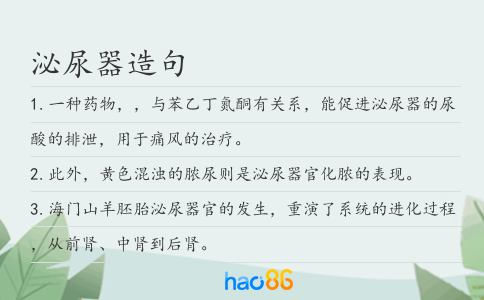 泌尿器造句