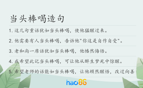 当头棒喝造句