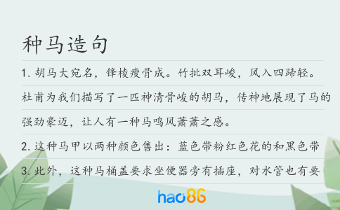 种马造句