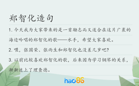 郑智化造句