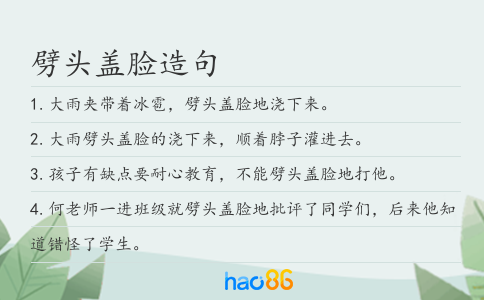 劈头盖脸造句