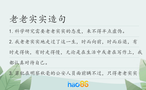 老老实实造句
