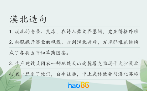 漠北造句