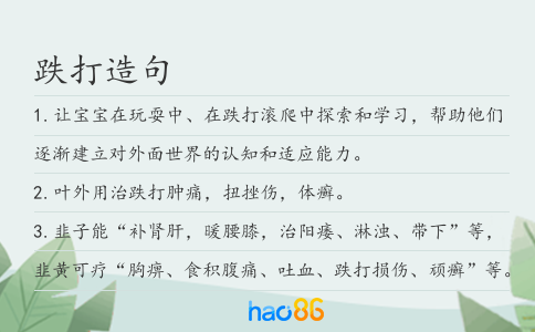 跌打造句