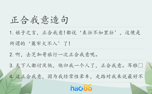 正合我意造句