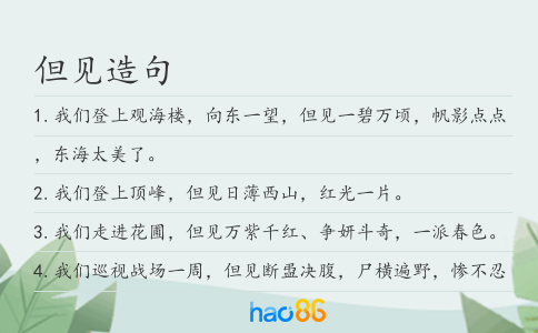 但见造句