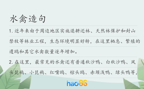 水禽造句