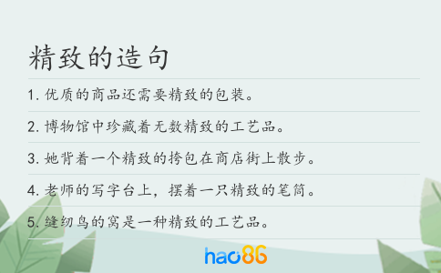 精致的造句