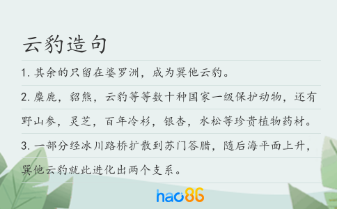 云豹造句