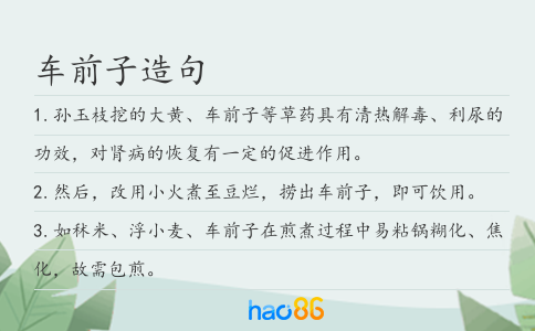 车前子造句