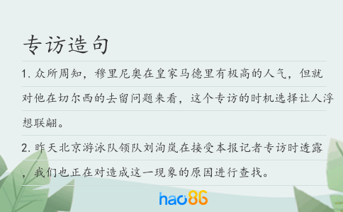 专访造句