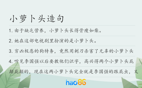 小萝卜头造句