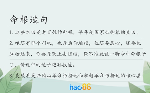 命根造句