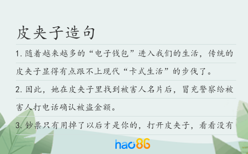 皮夹子造句