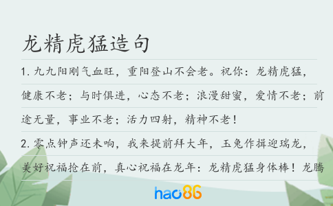 龙精虎猛造句