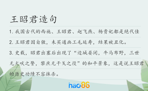 王昭君造句