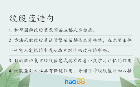 绞股蓝造句