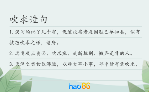 吹求造句