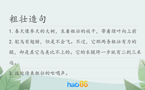 粗壮造句