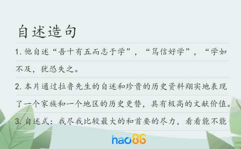 自述造句