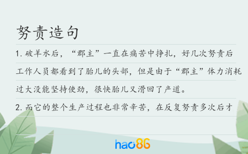努责造句