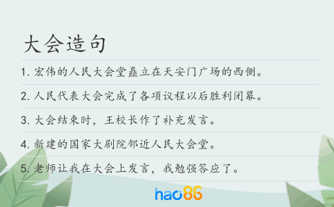 大会造句
