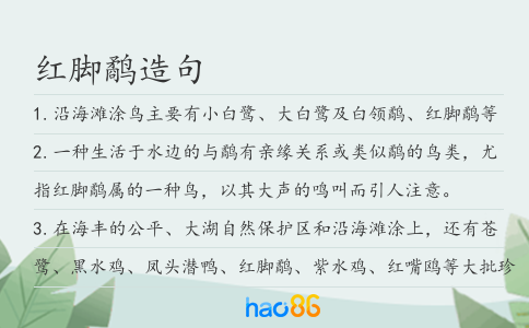 红脚鹬造句