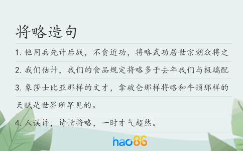 将略造句