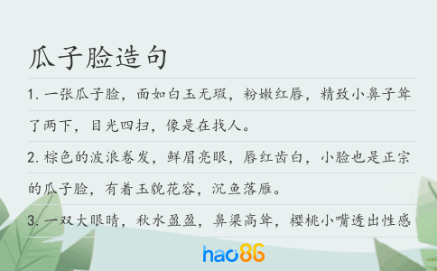 瓜子脸造句
