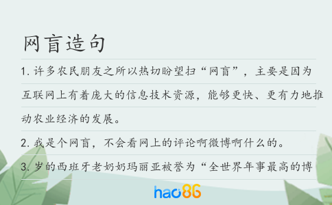 网盲造句