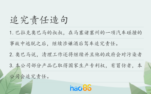 追究责任造句