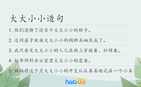 大大小小造句