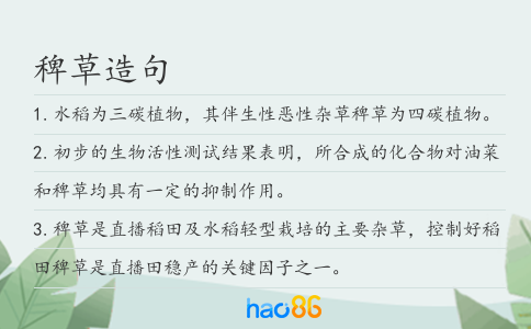 稗草造句