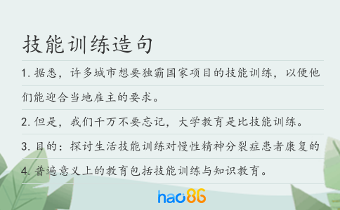 技能训练造句