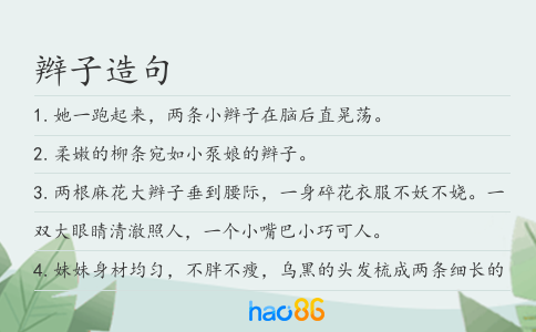 辫子造句