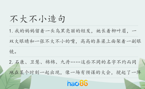 不大不小造句