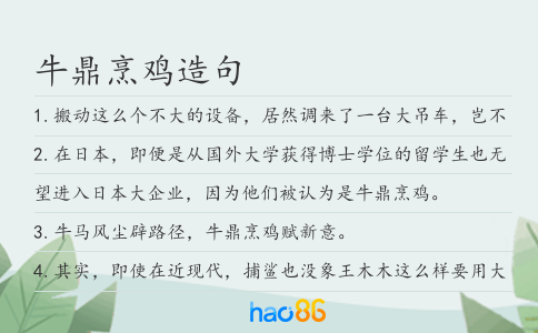牛鼎烹鸡造句