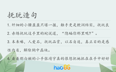 抚玩造句