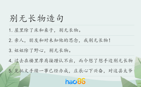 别无长物造句