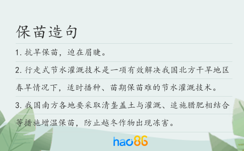 保苗造句