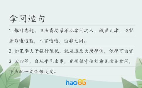 拿问造句