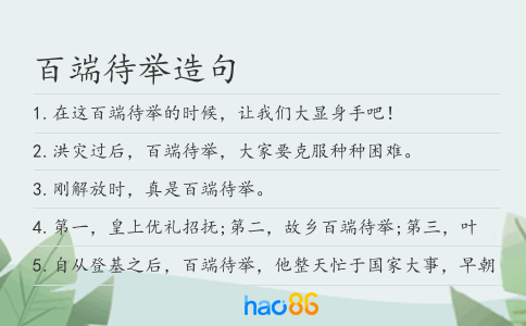 百端待举造句