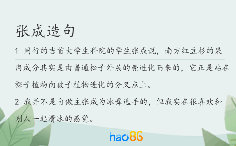 张成造句