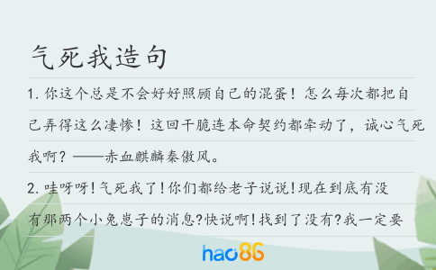 气死我造句